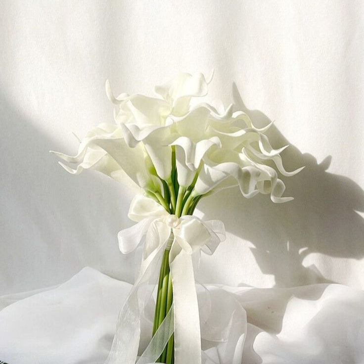 Calla mini
