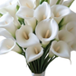 Calla