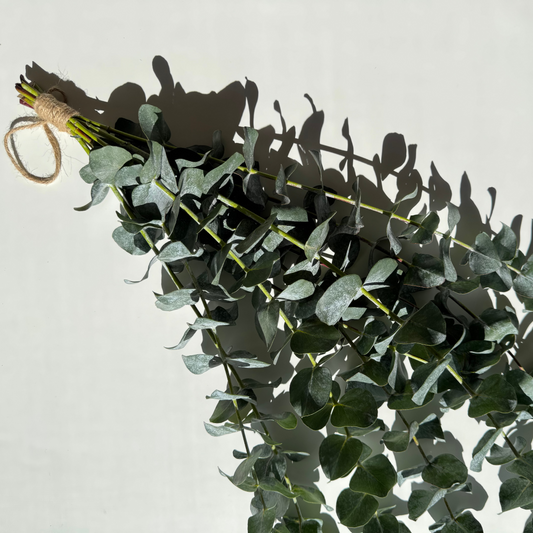 Eucalyptus shower